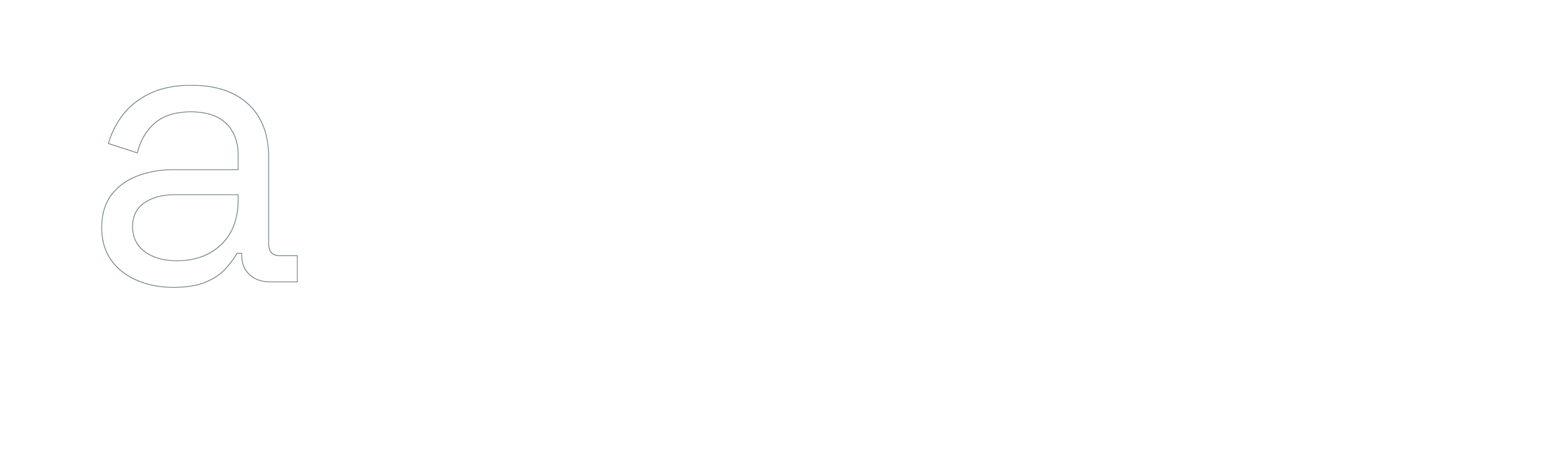 iamneo